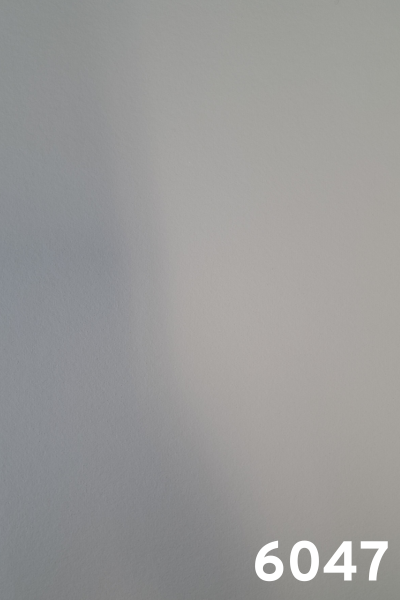 6047